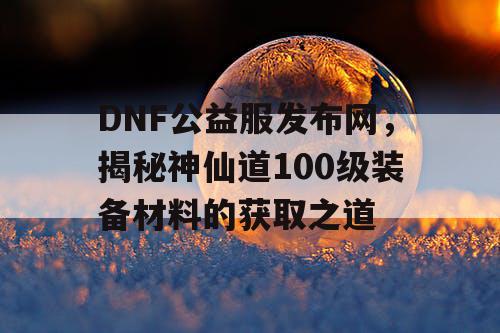 DNF公益服发布网，揭秘神仙道100级装备材料的获取之道