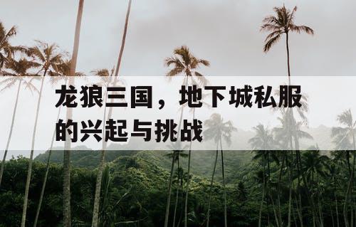 龙狼三国，地下城私服的兴起与挑战