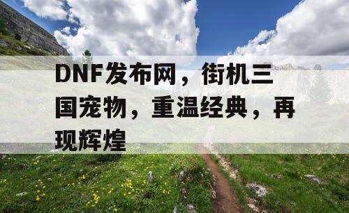 DNF发布网，街机三国宠物，重温经典，再现辉煌