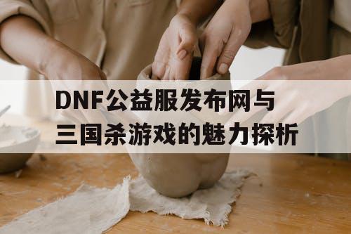 DNF公益服发布网与三国杀游戏的魅力探析