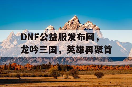 DNF公益服发布网，龙吟三国，英雄再聚首