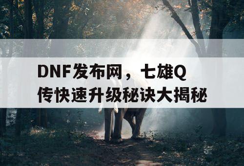 DNF发布网，七雄Q传快速升级秘诀大揭秘