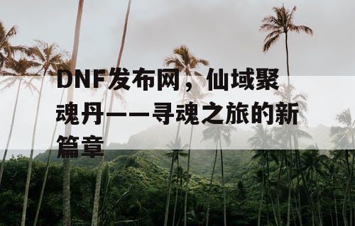 DNF发布网，仙域聚魂丹——寻魂之旅的新篇章