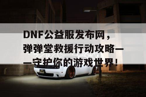 DNF公益服发布网，弹弹堂救援行动攻略——守护你的游戏世界！