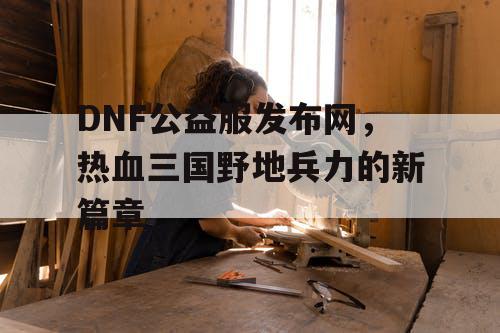 DNF公益服发布网，热血三国野地兵力的新篇章