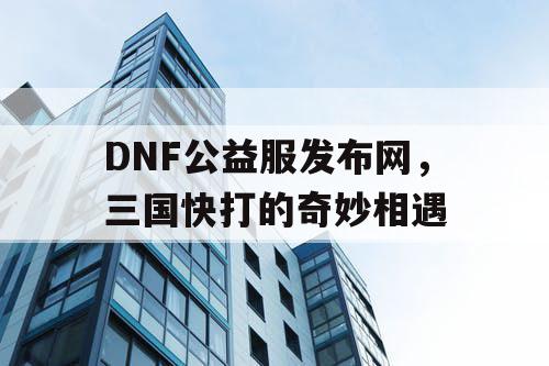 DNF公益服发布网，三国快打的奇妙相遇