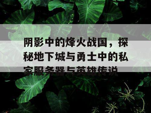 阴影中的烽火战国，探秘地下城与勇士中的私家服务器与英雄传说