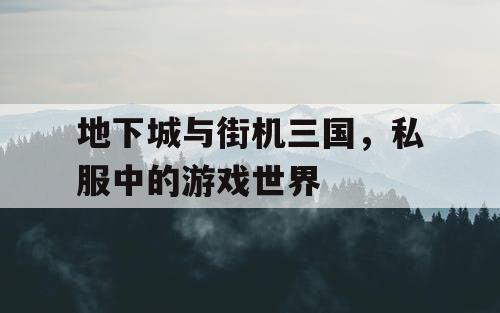 地下城与街机三国，私服中的游戏世界