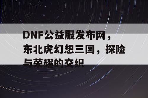 DNF公益服发布网，东北虎幻想三国，探险与荣耀的交织