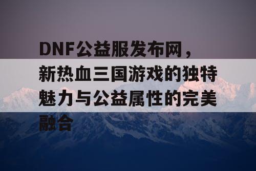 DNF公益服发布网，新热血三国游戏的独特魅力与公益属性的完美融合