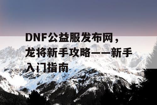 DNF公益服发布网，龙将新手攻略——新手入门指南