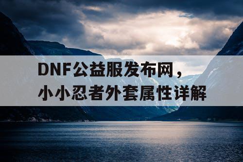 DNF公益服发布网，小小忍者外套属性详解