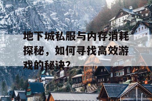 地下城私服与内存消耗探秘，如何寻找高效游戏的秘诀？