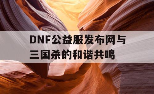 DNF公益服发布网与三国杀的和谐共鸣