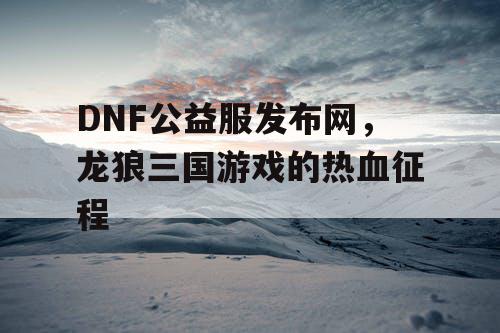 DNF公益服发布网，龙狼三国游戏的热血征程