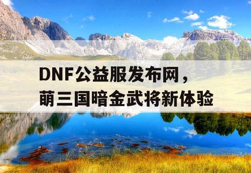 DNF公益服发布网，萌三国暗金武将新体验