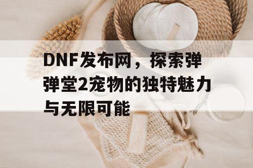 DNF发布网，探索弹弹堂2宠物的独特魅力与无限可能